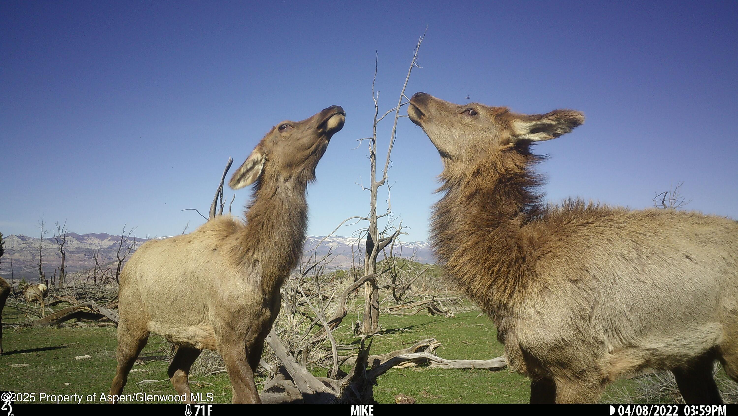 Tbd Tbd Mesa CO 81643