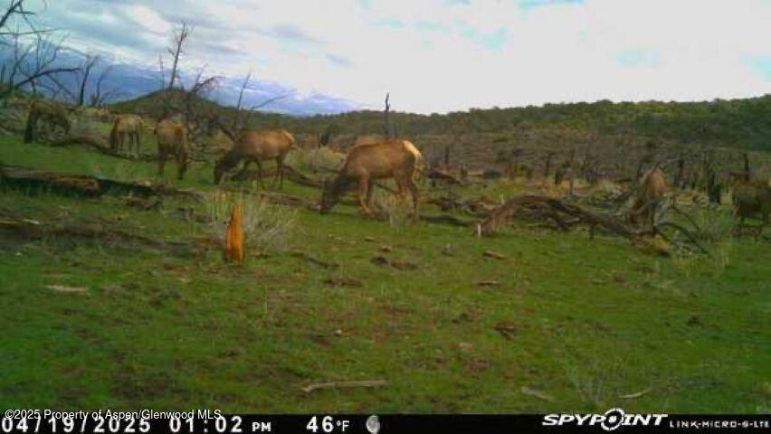 Tbd Tbd Mesa CO 81643