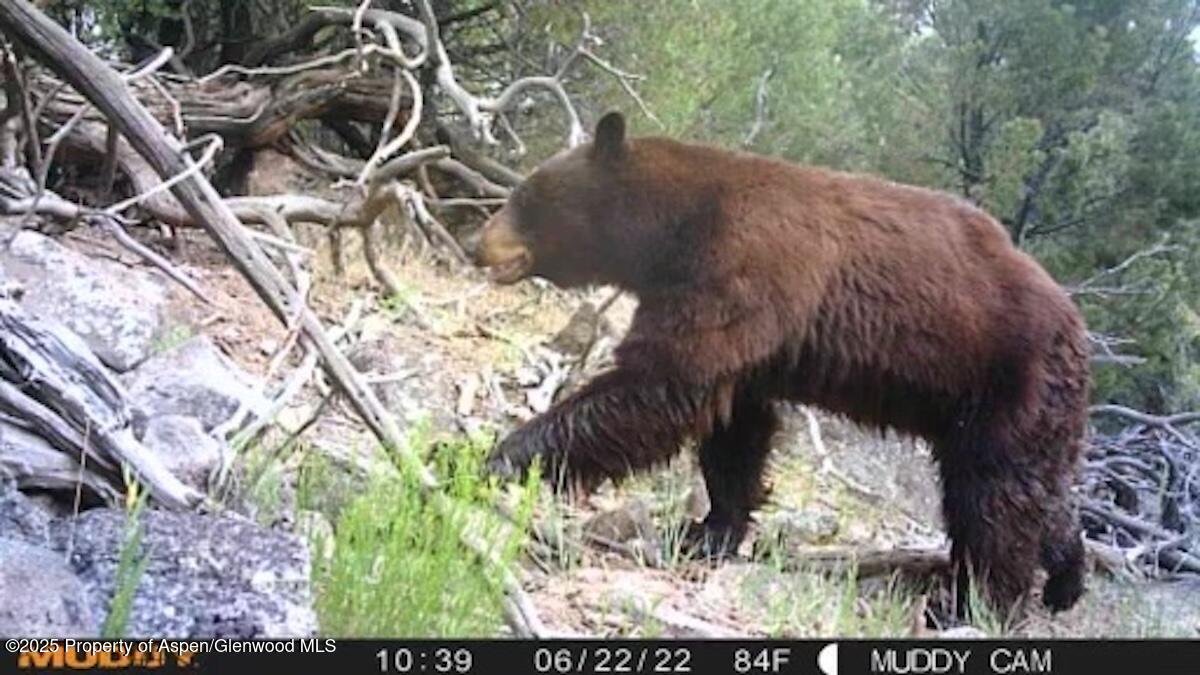 Tbd Tbd Mesa CO 81643