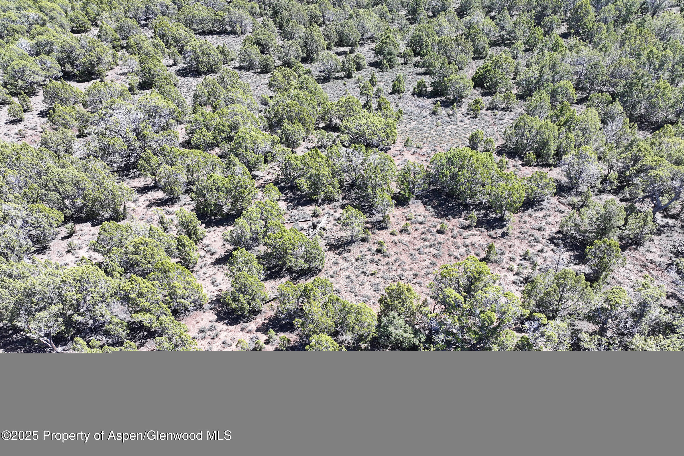 Tbd Tbd Mesa CO 81643