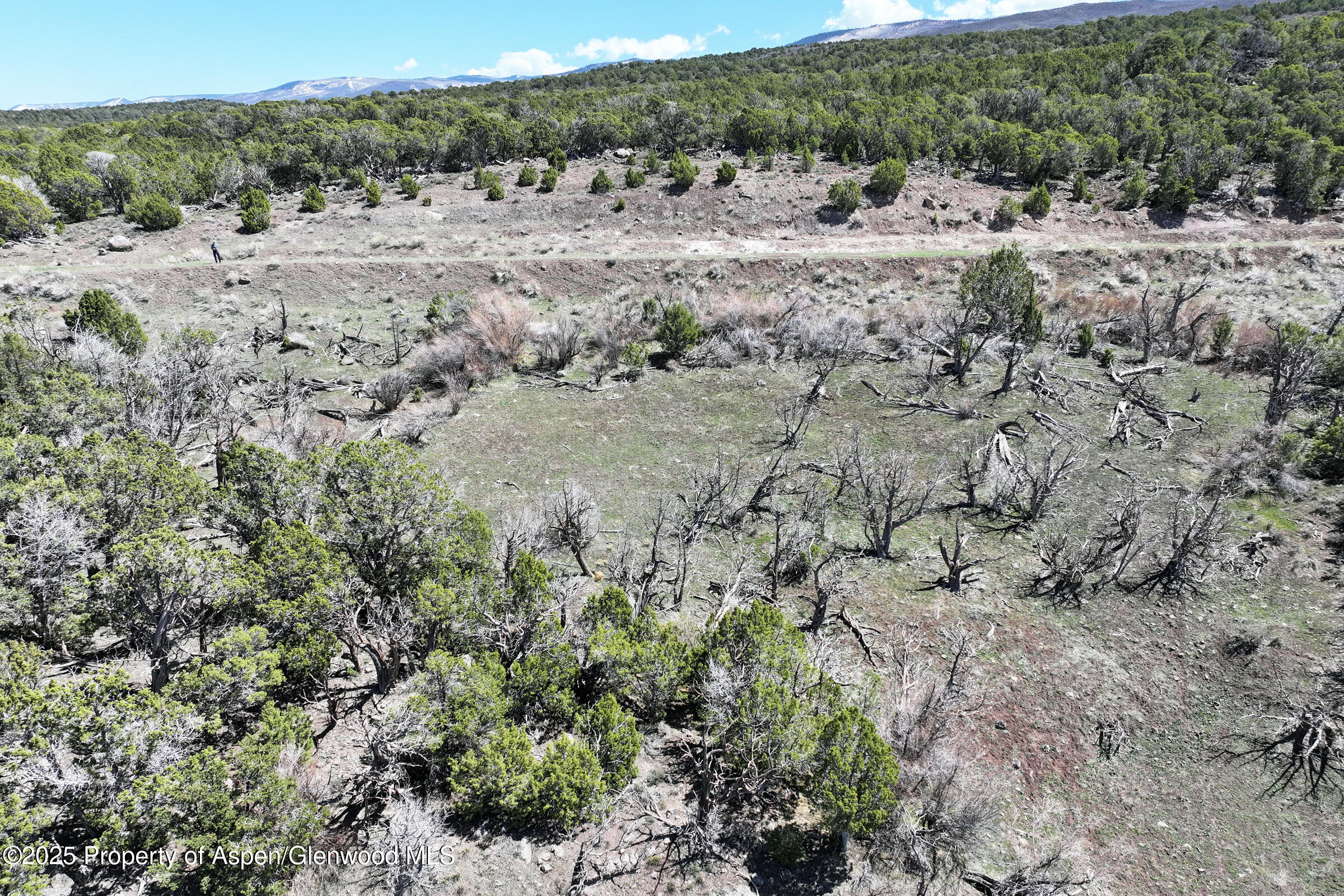 Tbd Tbd Mesa CO 81643