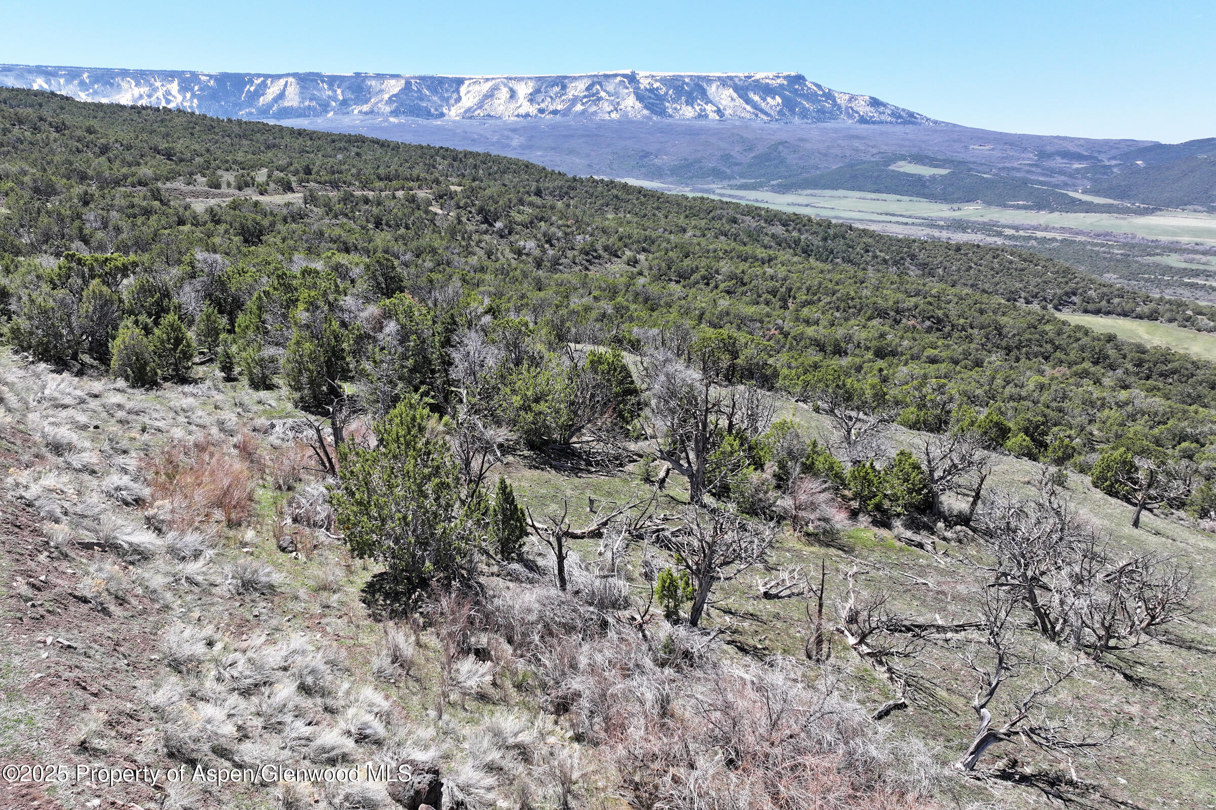 Tbd Tbd Mesa CO 81643