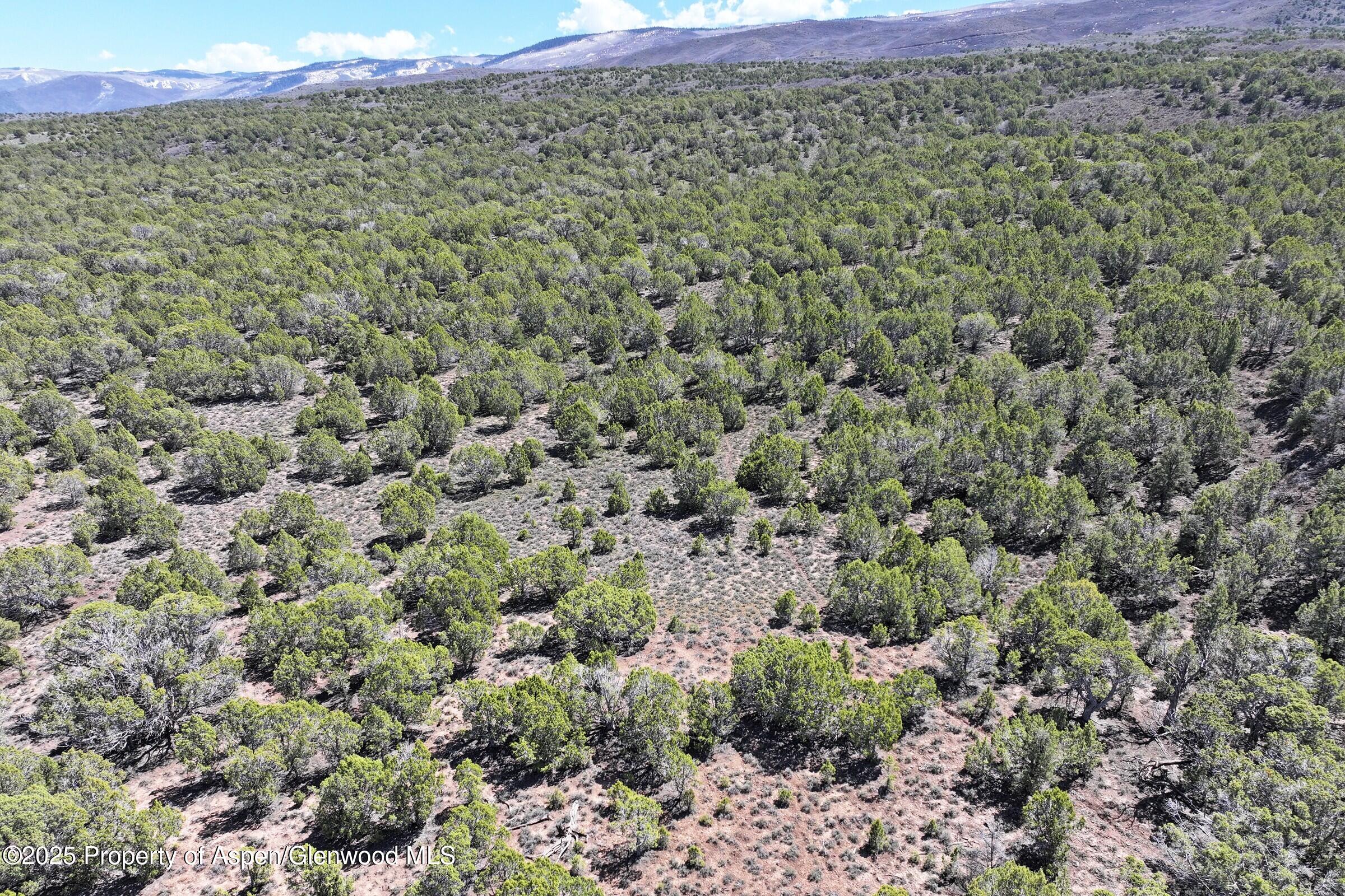 Tbd Tbd Mesa CO 81643