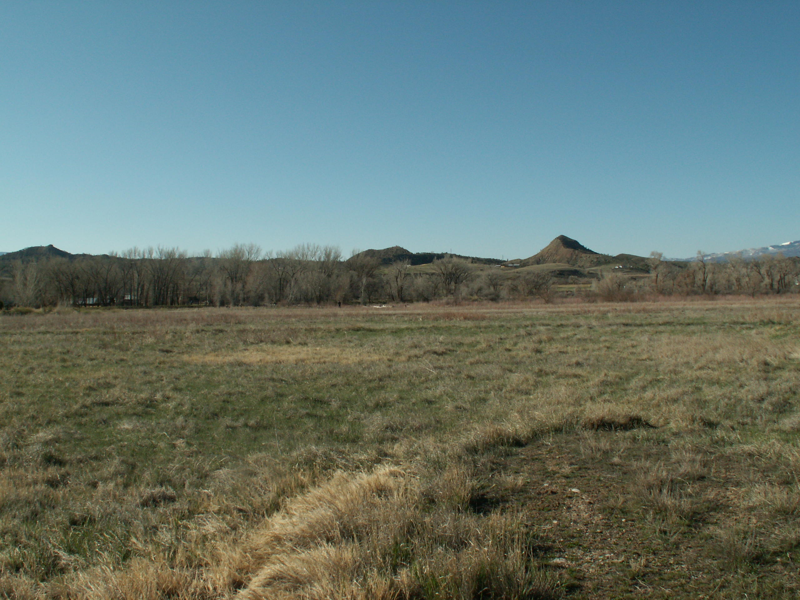 1421 River Frontage Road Silt CO 81652