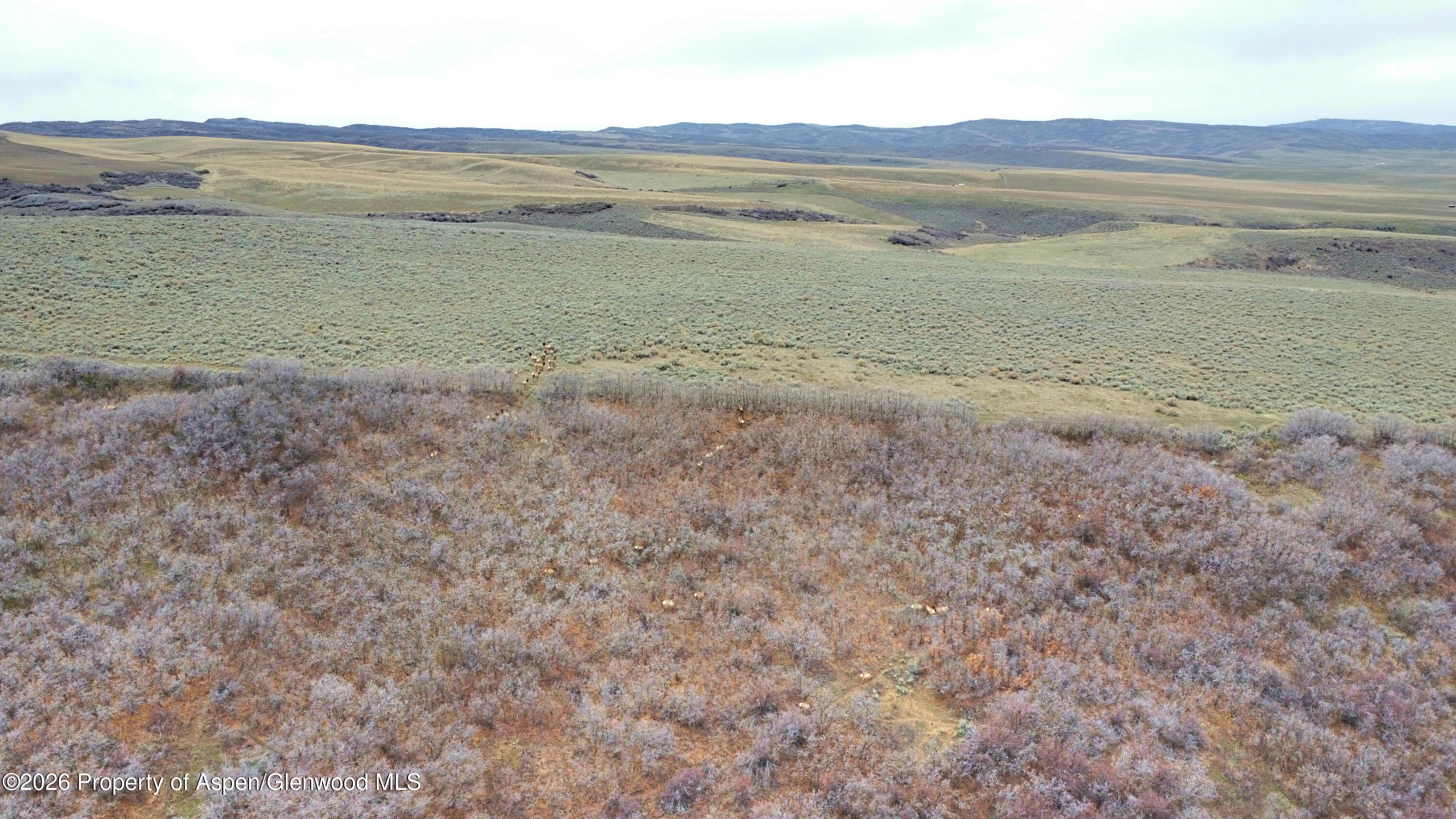 Tbd County Road 57 Hayden CO 81639