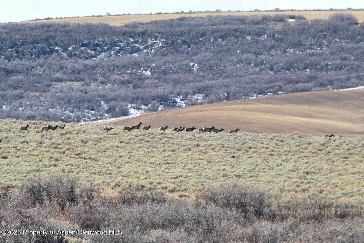 Tbd County Road 57 Hayden CO 81639