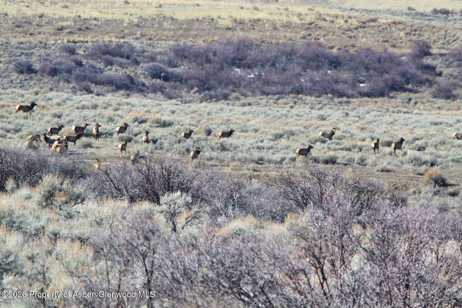 Tbd County Road 57 Hayden CO 81639