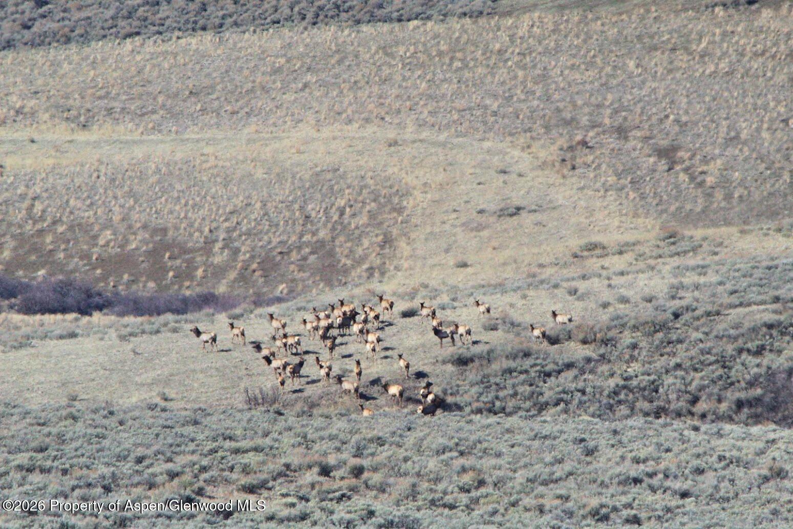 Tbd County Road 57 Hayden CO 81639