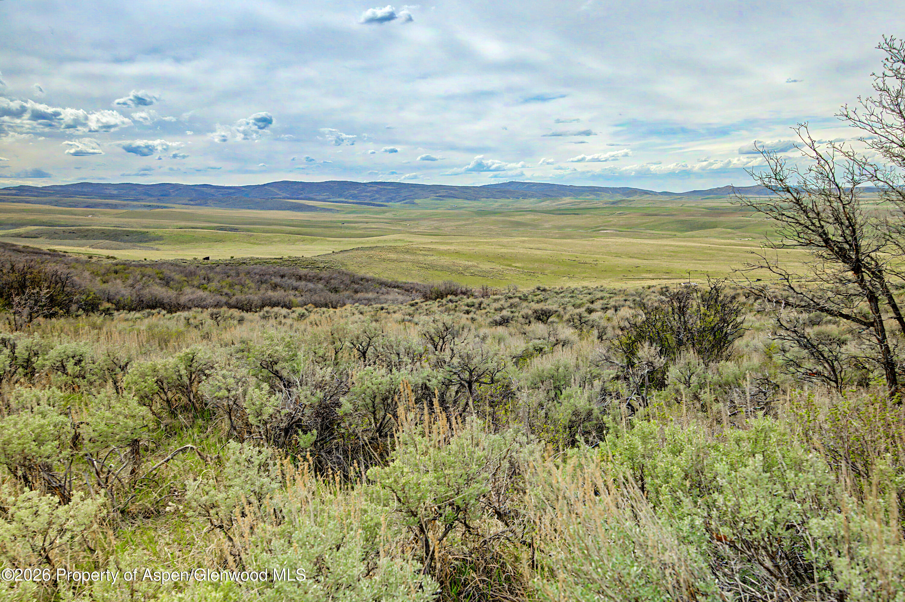 Tbd County Road 57 Hayden CO 81639