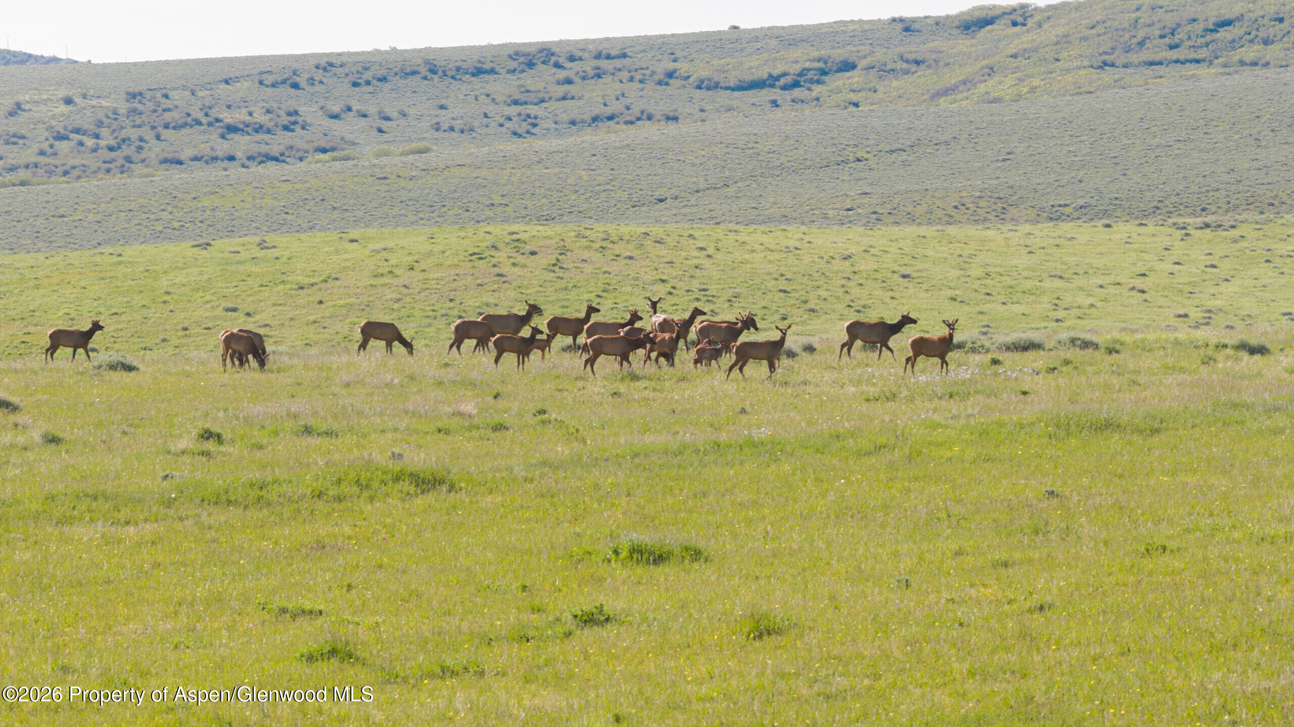 Tbd County Road 57 Hayden CO 81639