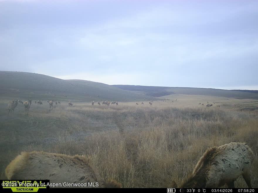 Tbd County Road 57 Hayden CO 81639