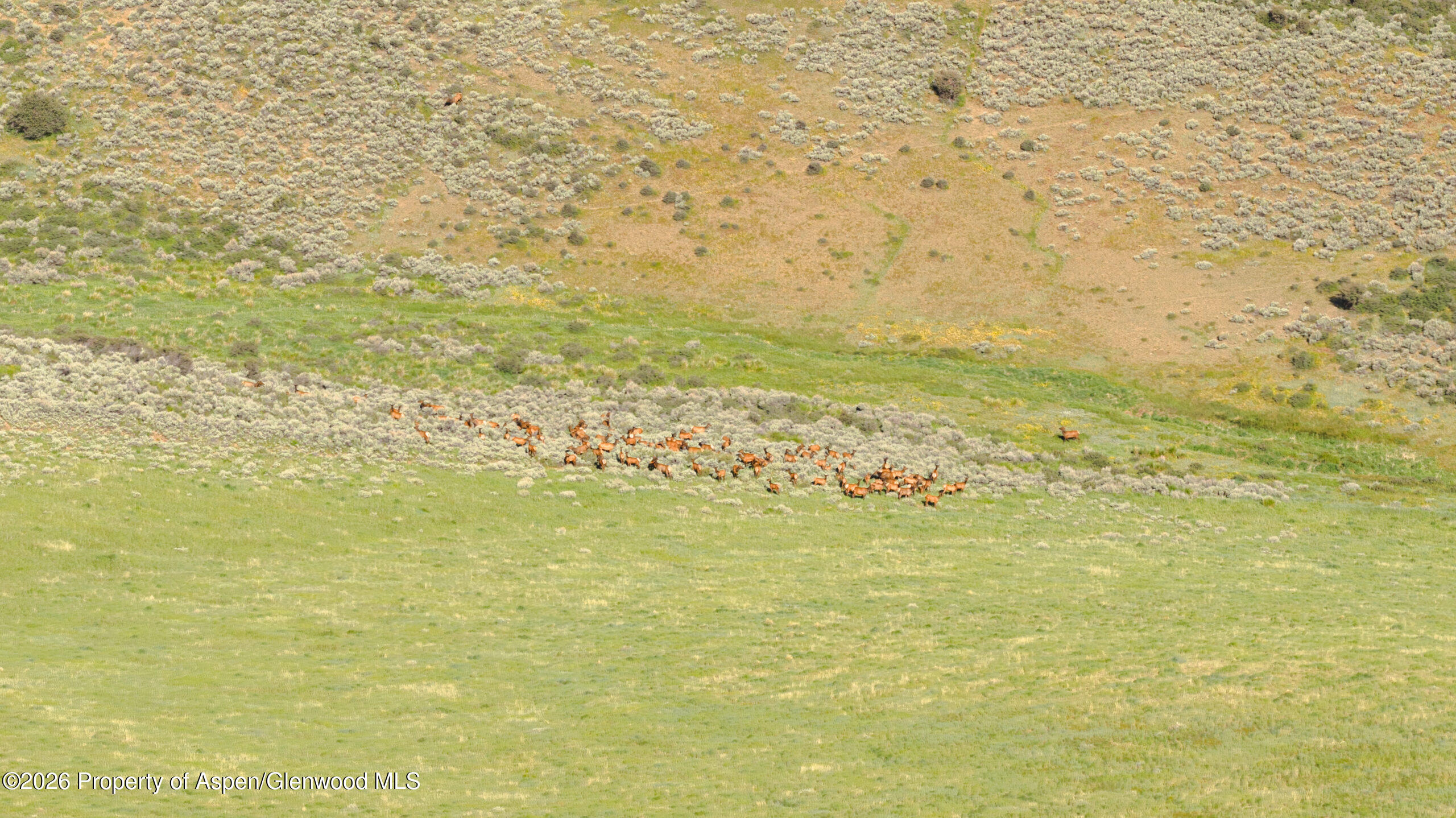 Tbd County Road 57 Hayden CO 81639