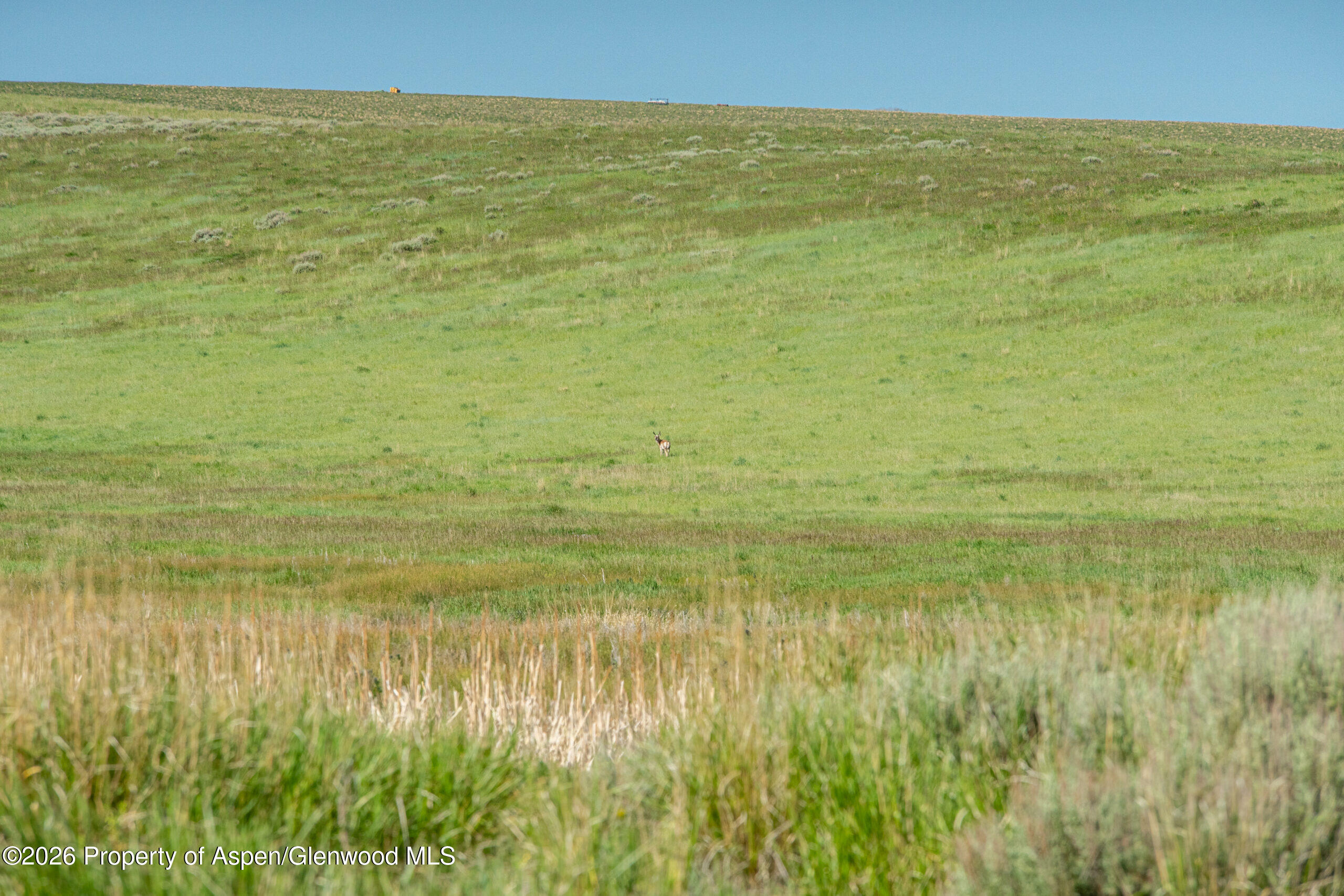 Tbd County Road 57 Hayden CO 81639