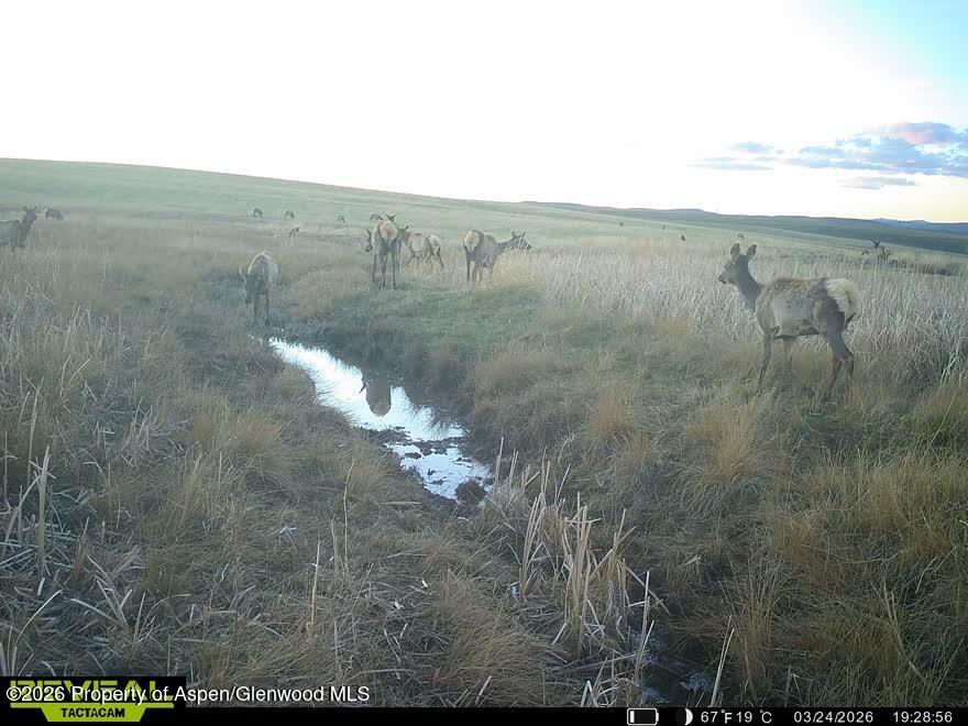Tbd County Road 57 Hayden CO 81639
