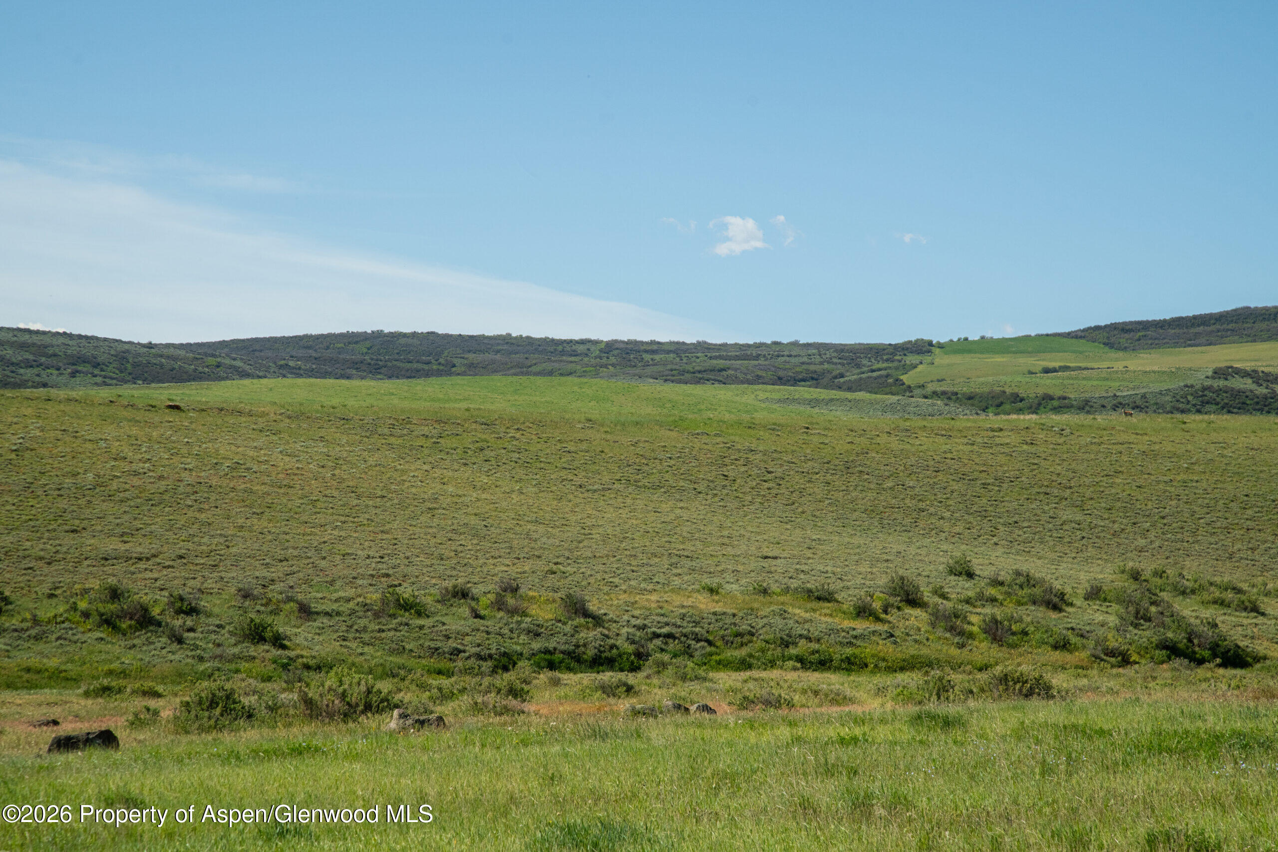 Tbd County Road 57 Hayden CO 81639