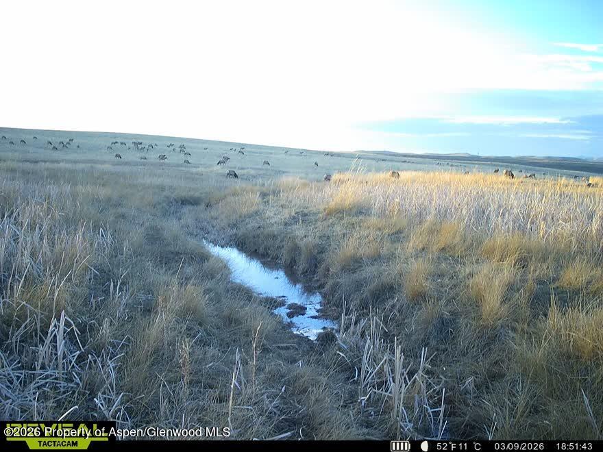 Tbd County Road 57 Hayden CO 81639