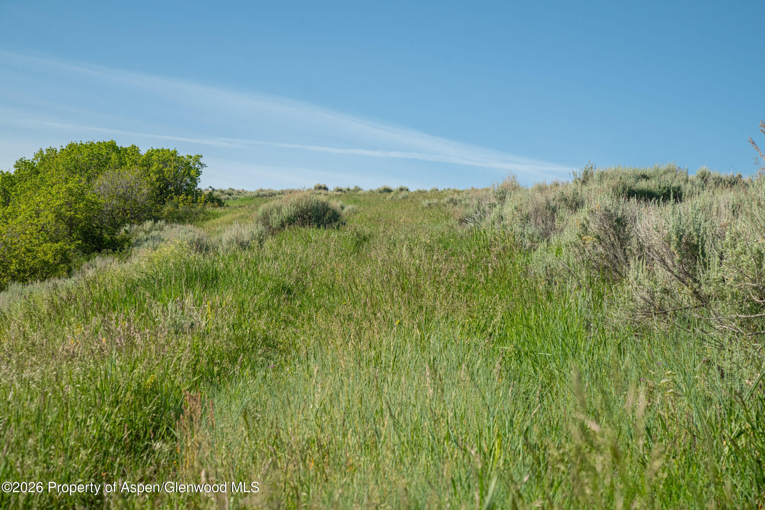 Tbd County Road 57 Hayden CO 81639