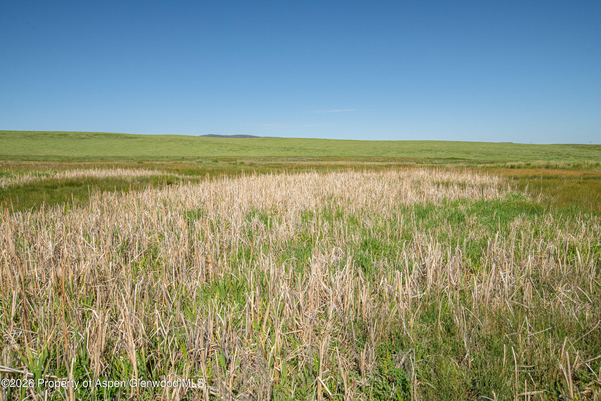 Tbd County Road 57 Hayden CO 81639