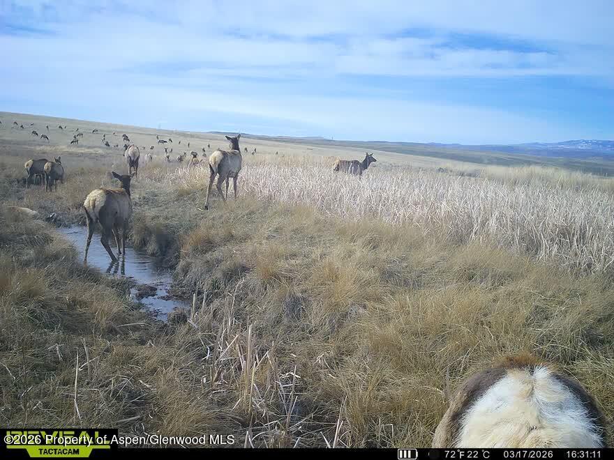 Tbd County Road 57 Hayden CO 81639