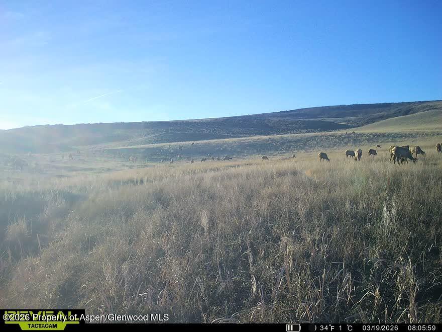 Tbd County Road 57 Hayden CO 81639