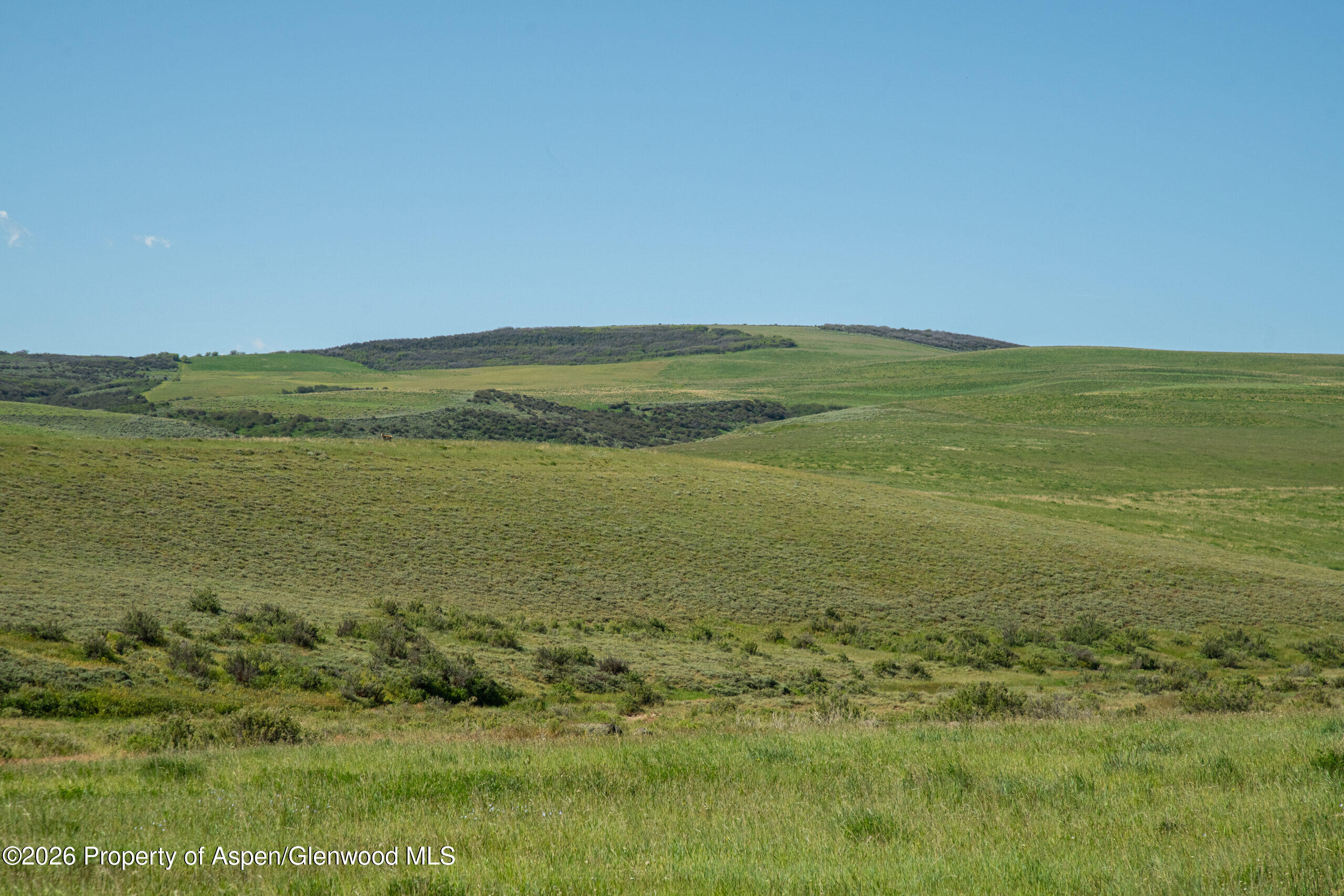 Tbd County Road 57 Hayden CO 81639