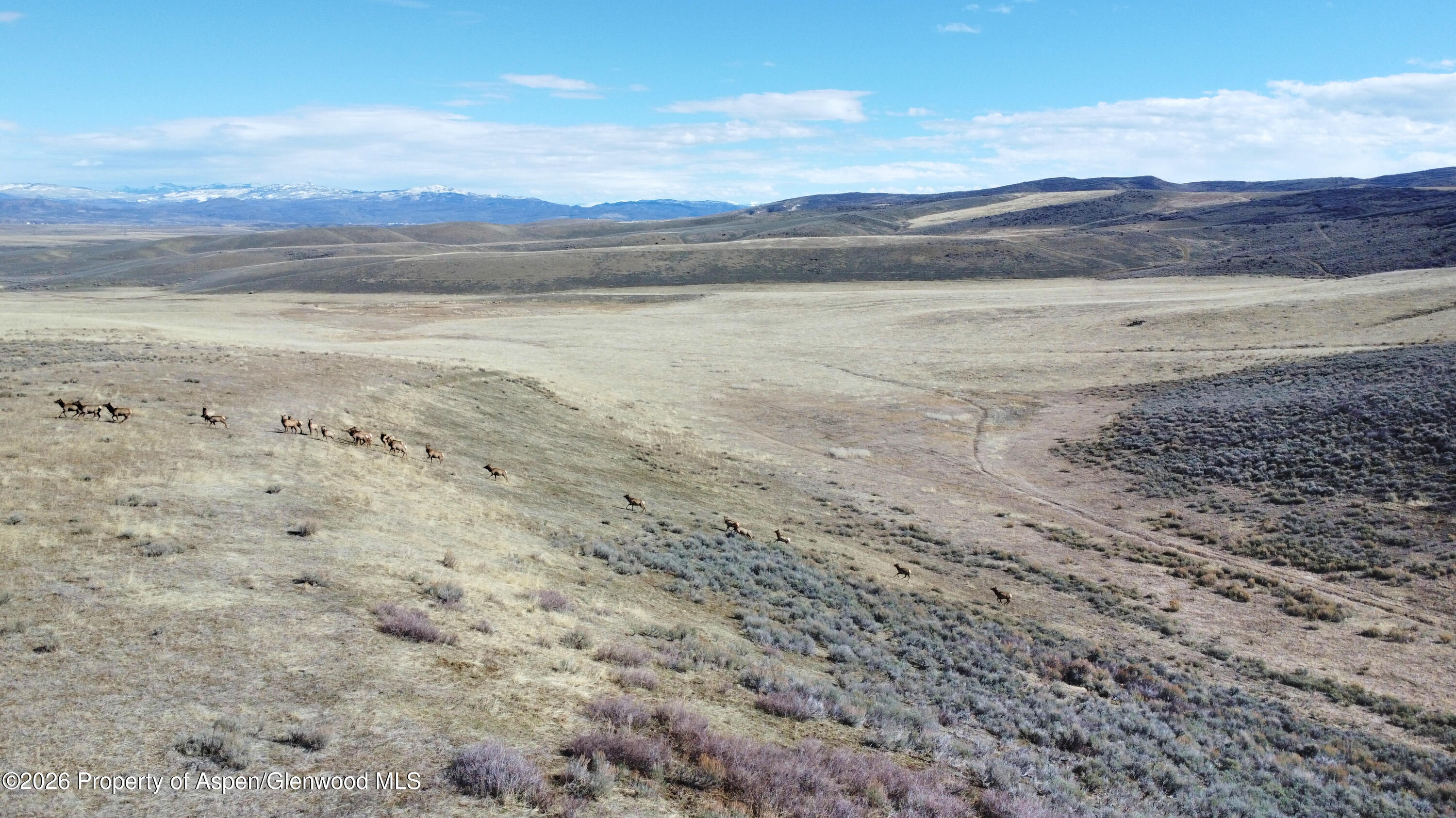 Tbd County Road 57 Hayden CO 81639