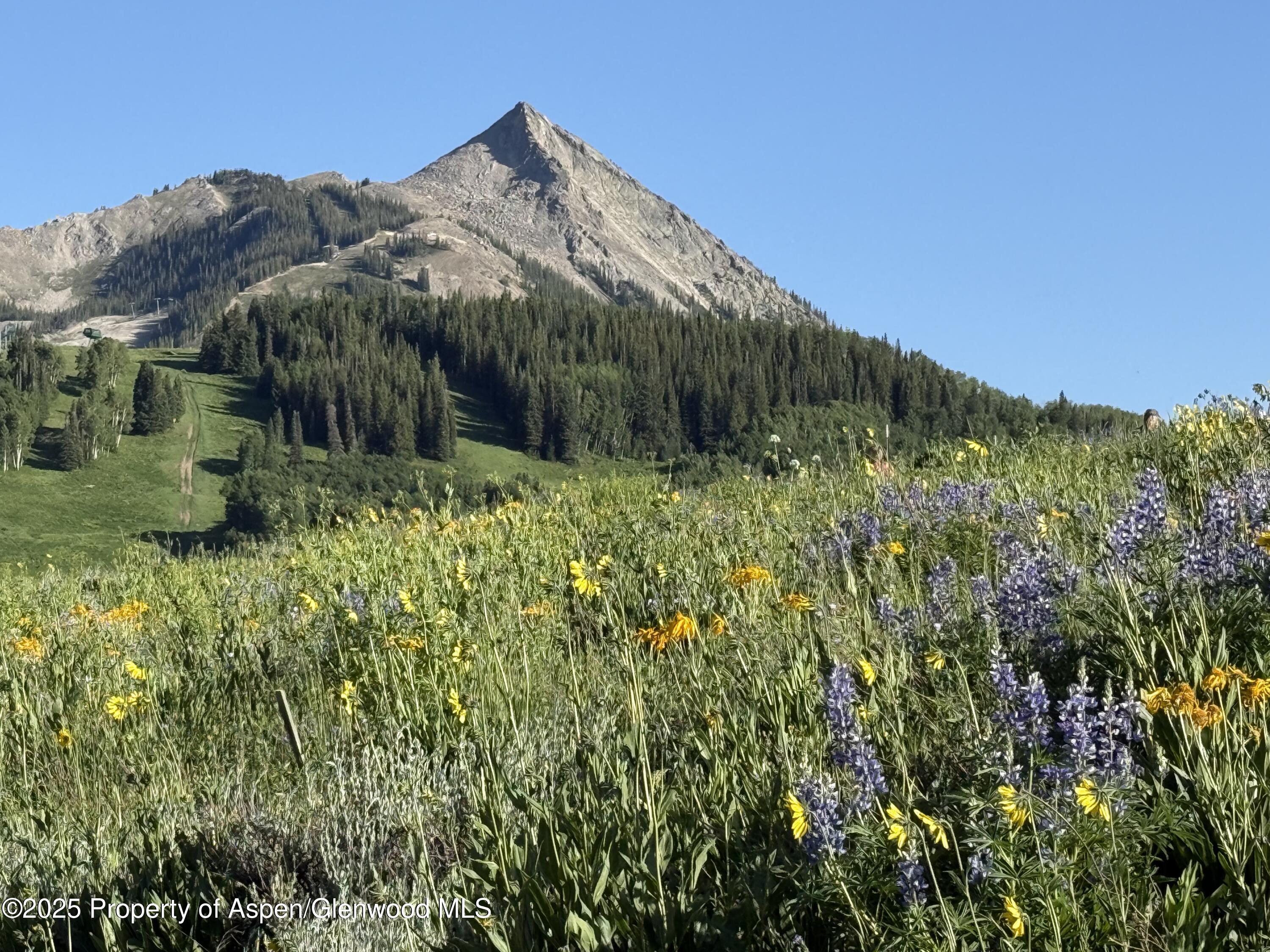 Tdr Tdr Aspen CO 81611