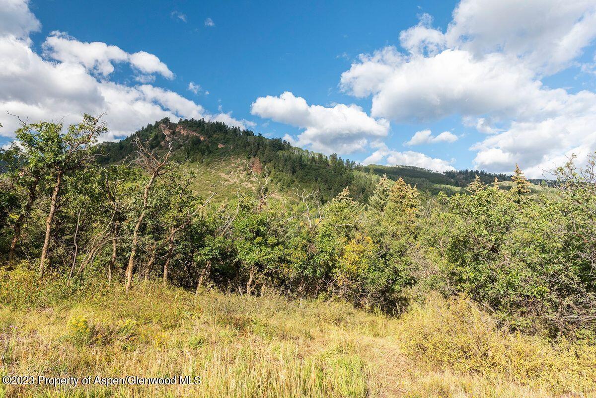 25 Glen Eagles Road Aspen CO 81611