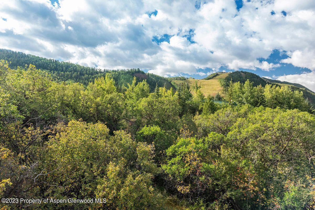 25 Glen Eagles Road Aspen CO 81611
