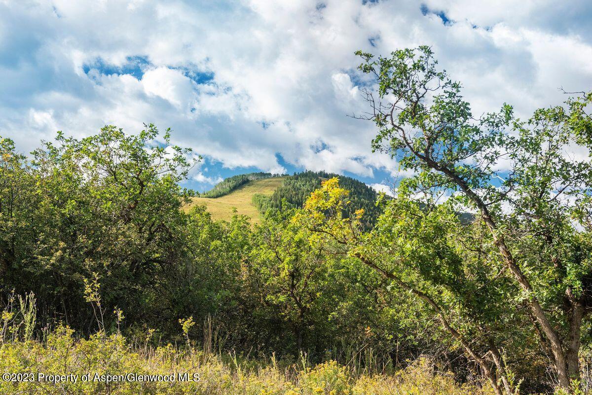 25 Glen Eagles Road Aspen CO 81611