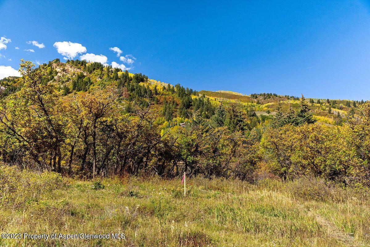 25 Glen Eagles Road Aspen CO 81611