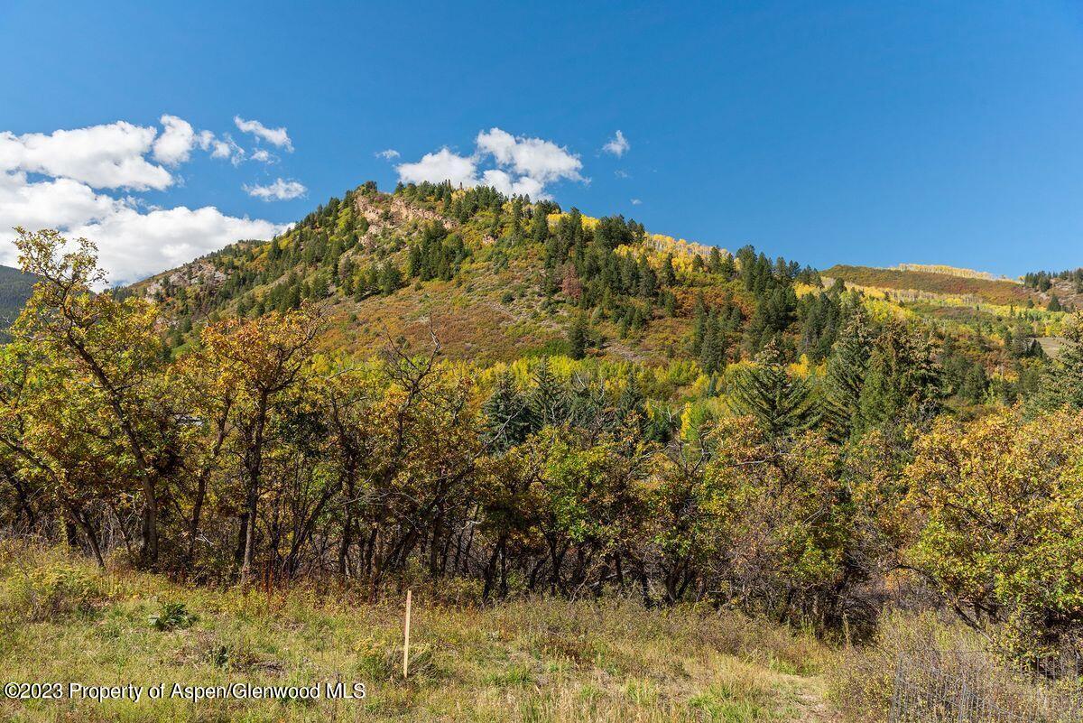 25 Glen Eagles Road Aspen CO 81611
