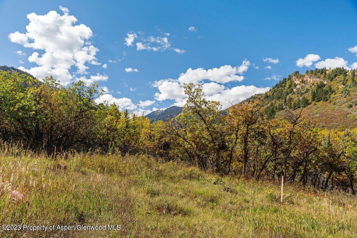 25 Glen Eagles Road Aspen CO 81611