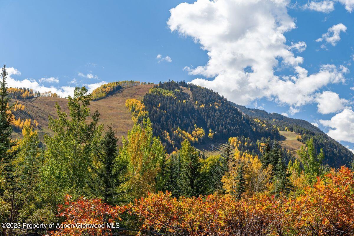 25 Glen Eagles Road Aspen CO 81611