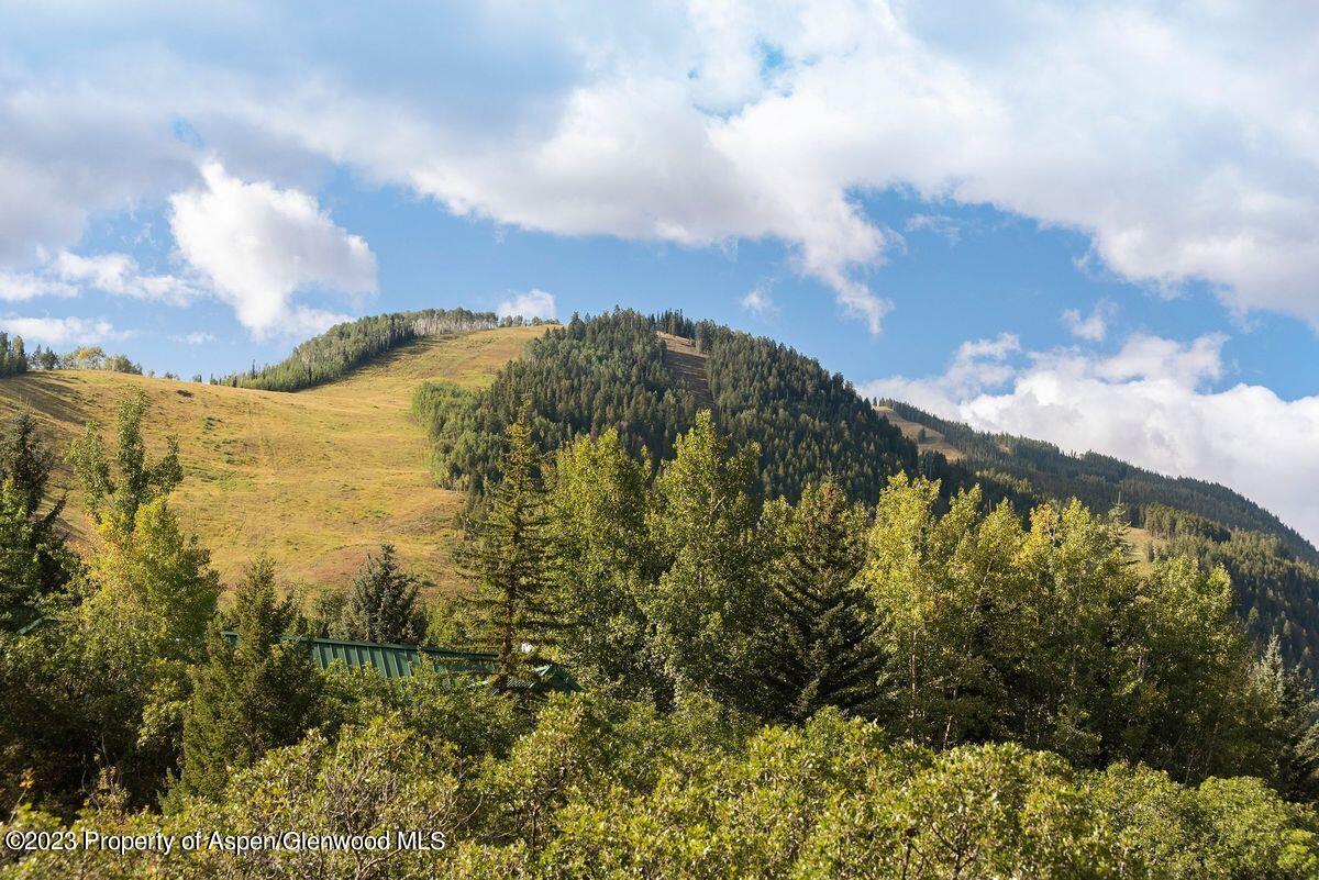 25 Glen Eagles Road Aspen CO 81611