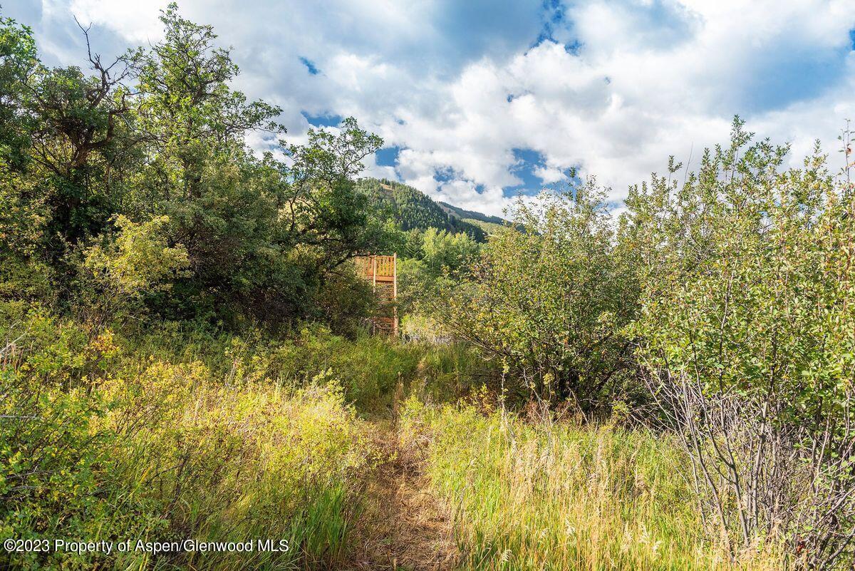 25 Glen Eagles Road Aspen CO 81611