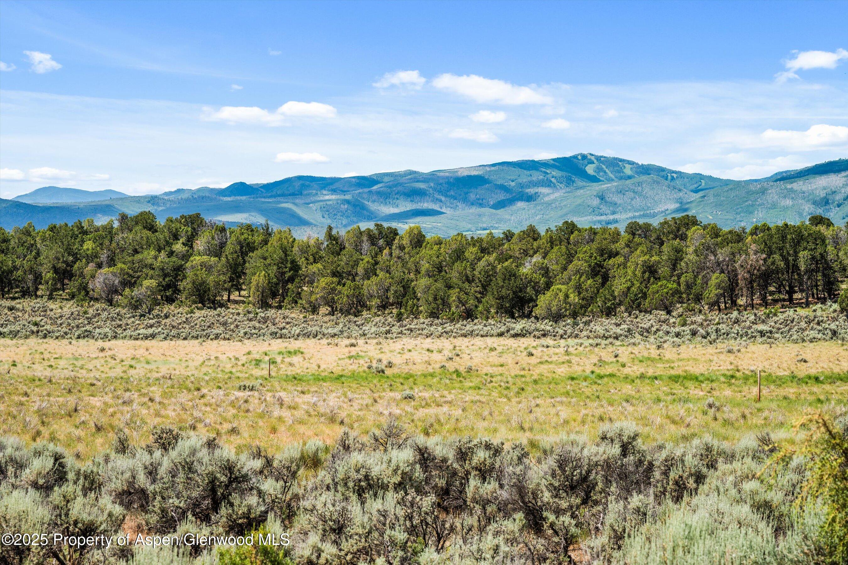 3426 Elk Spings Drive Glenwood Springs CO 81601