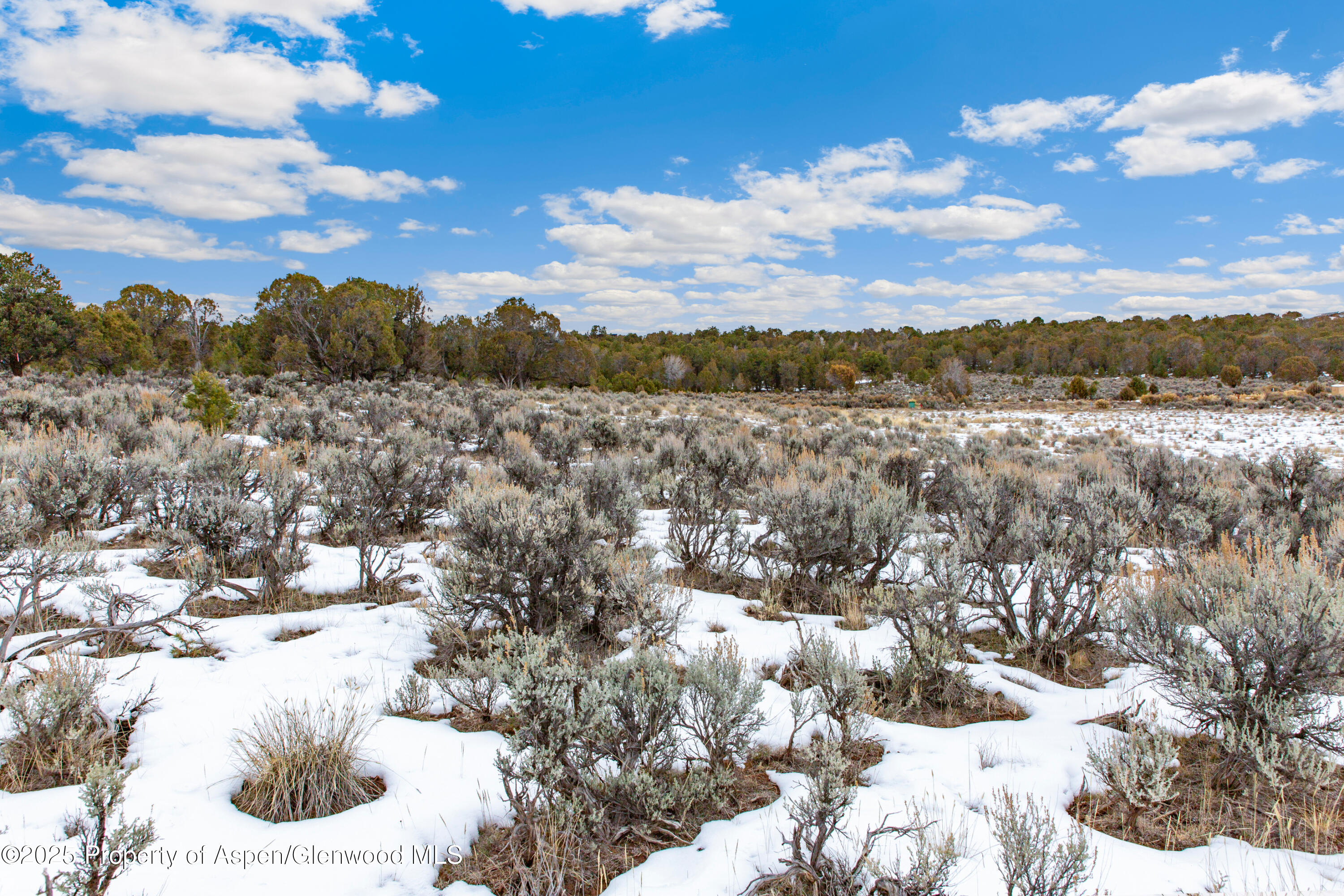3408 Elk Springs Drive Glenwood Springs CO 81601