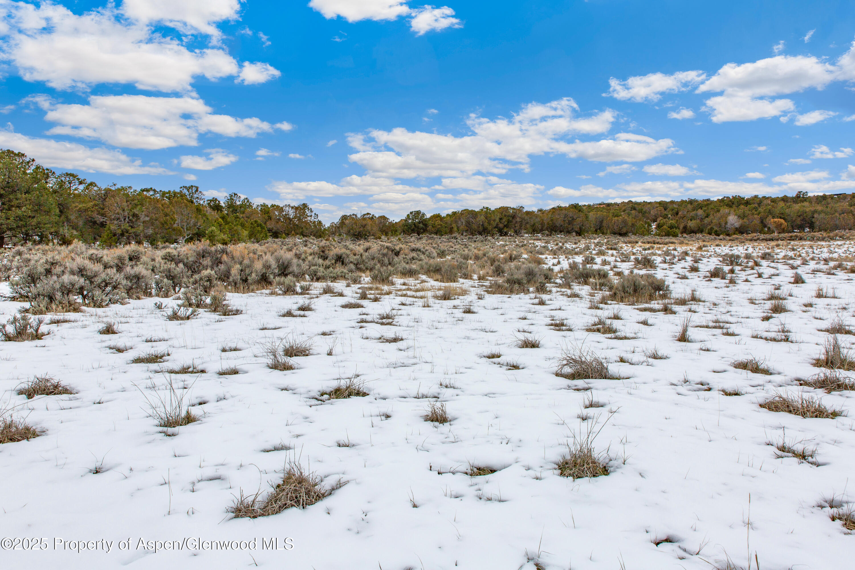3408 Elk Springs Drive Glenwood Springs CO 81601