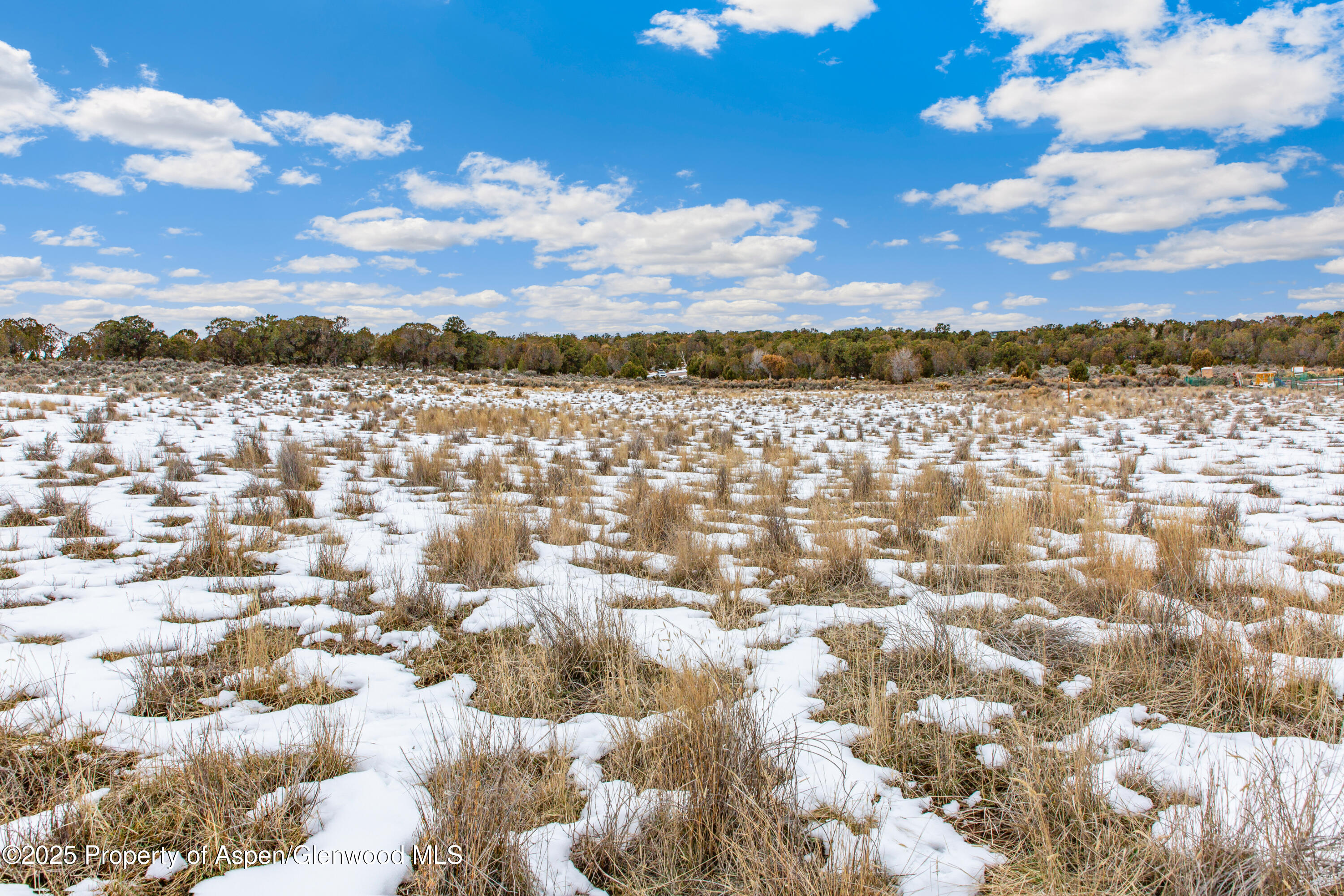 3408 Elk Springs Drive Glenwood Springs CO 81601