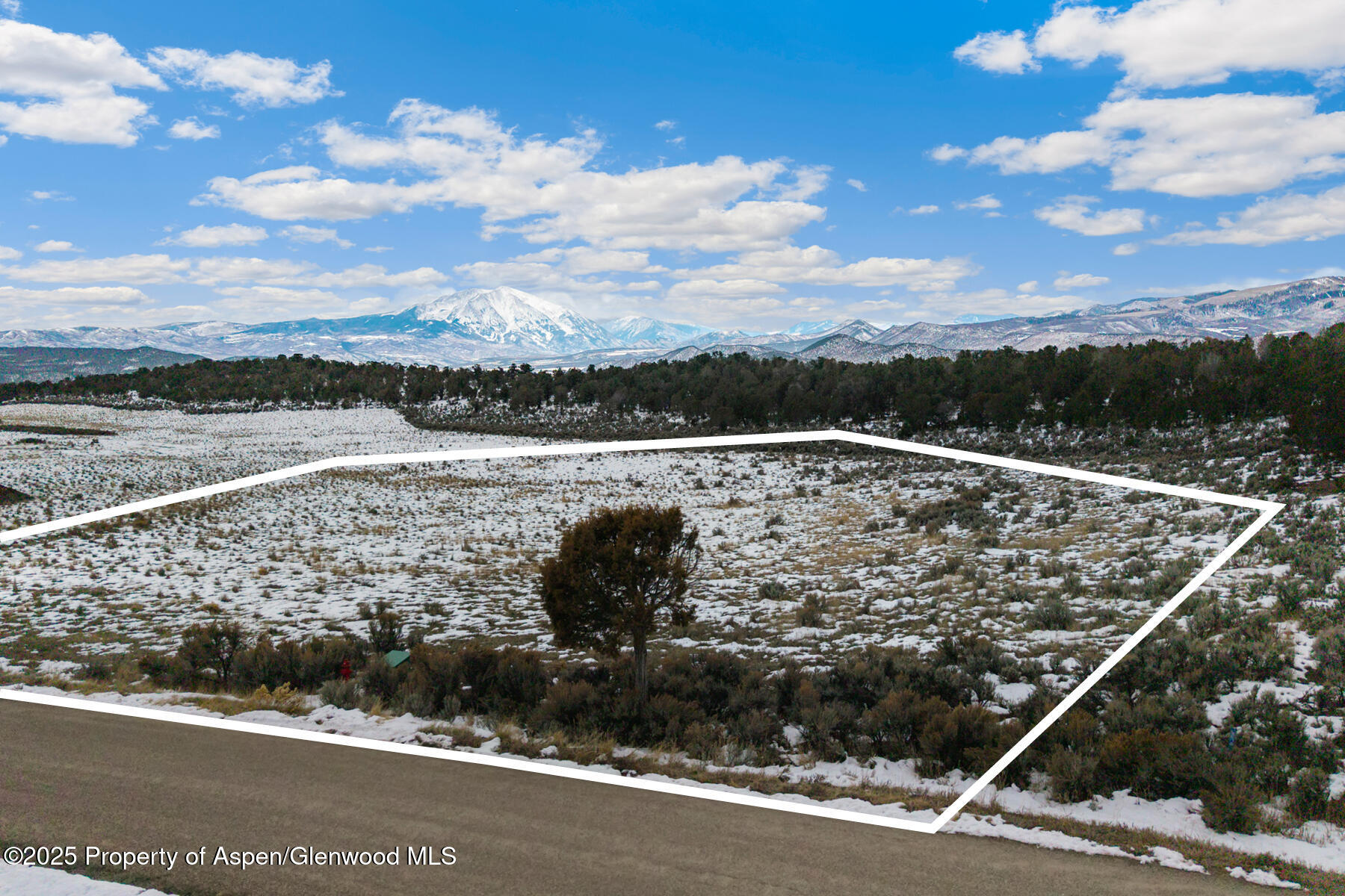 3408 Elk Springs Drive Glenwood Springs CO 81601