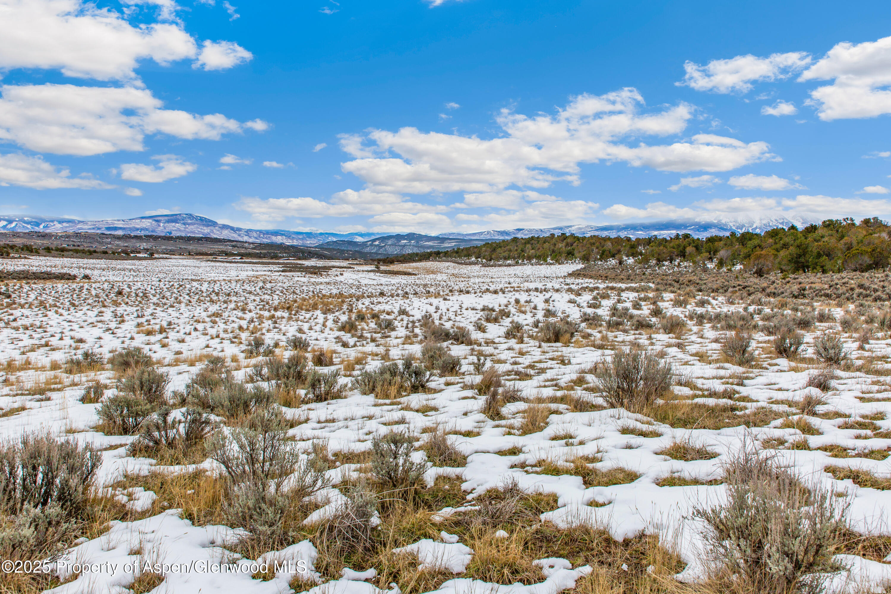 3408 Elk Springs Drive Glenwood Springs CO 81601