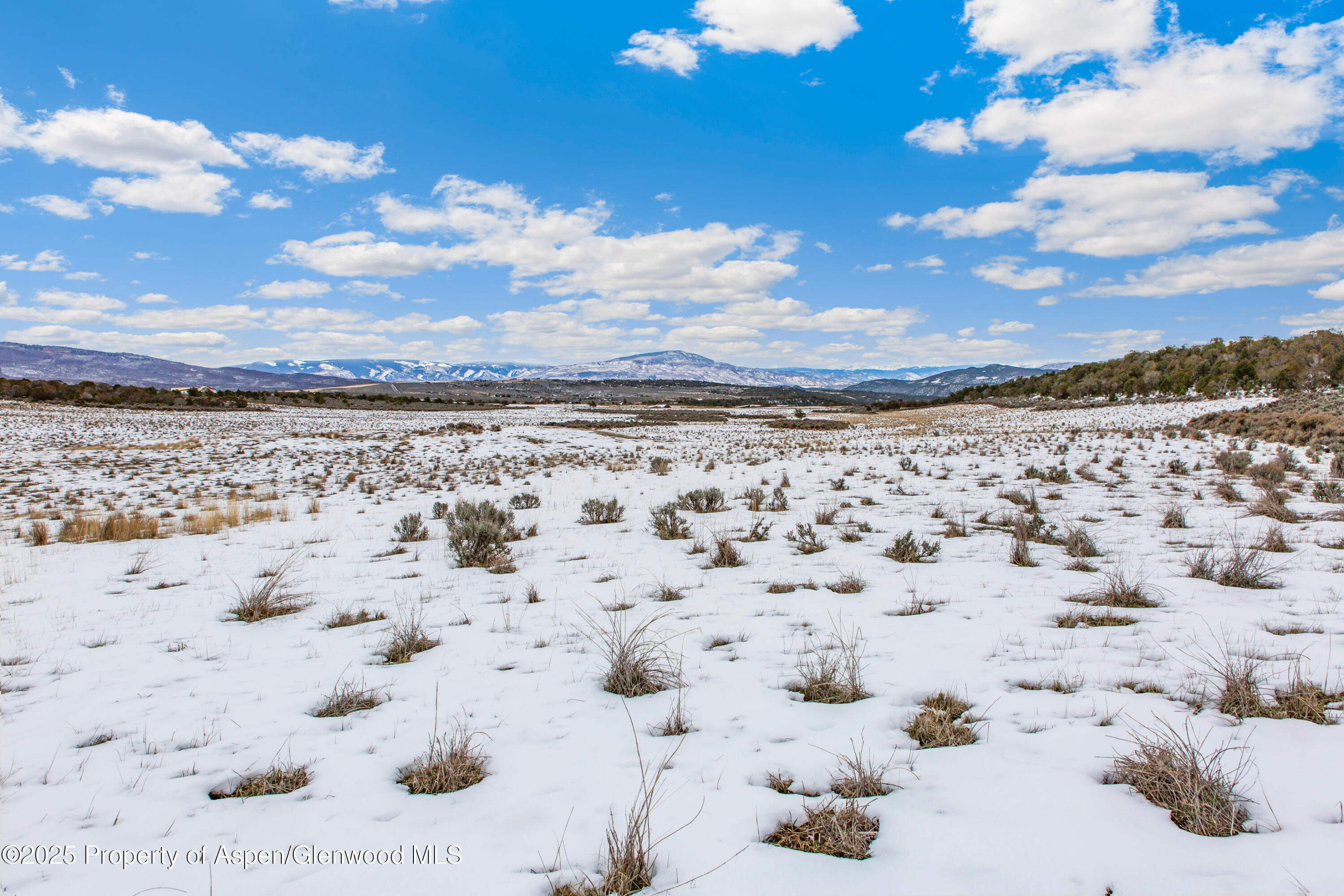 3408 Elk Springs Drive Glenwood Springs CO 81601