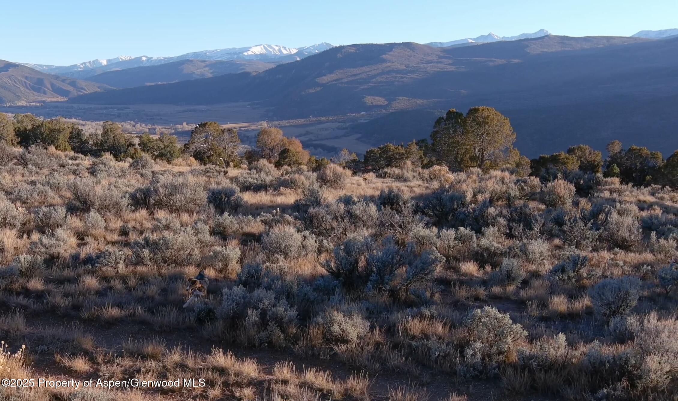 Tbd Whitecloud Road Carbondale CO 81623