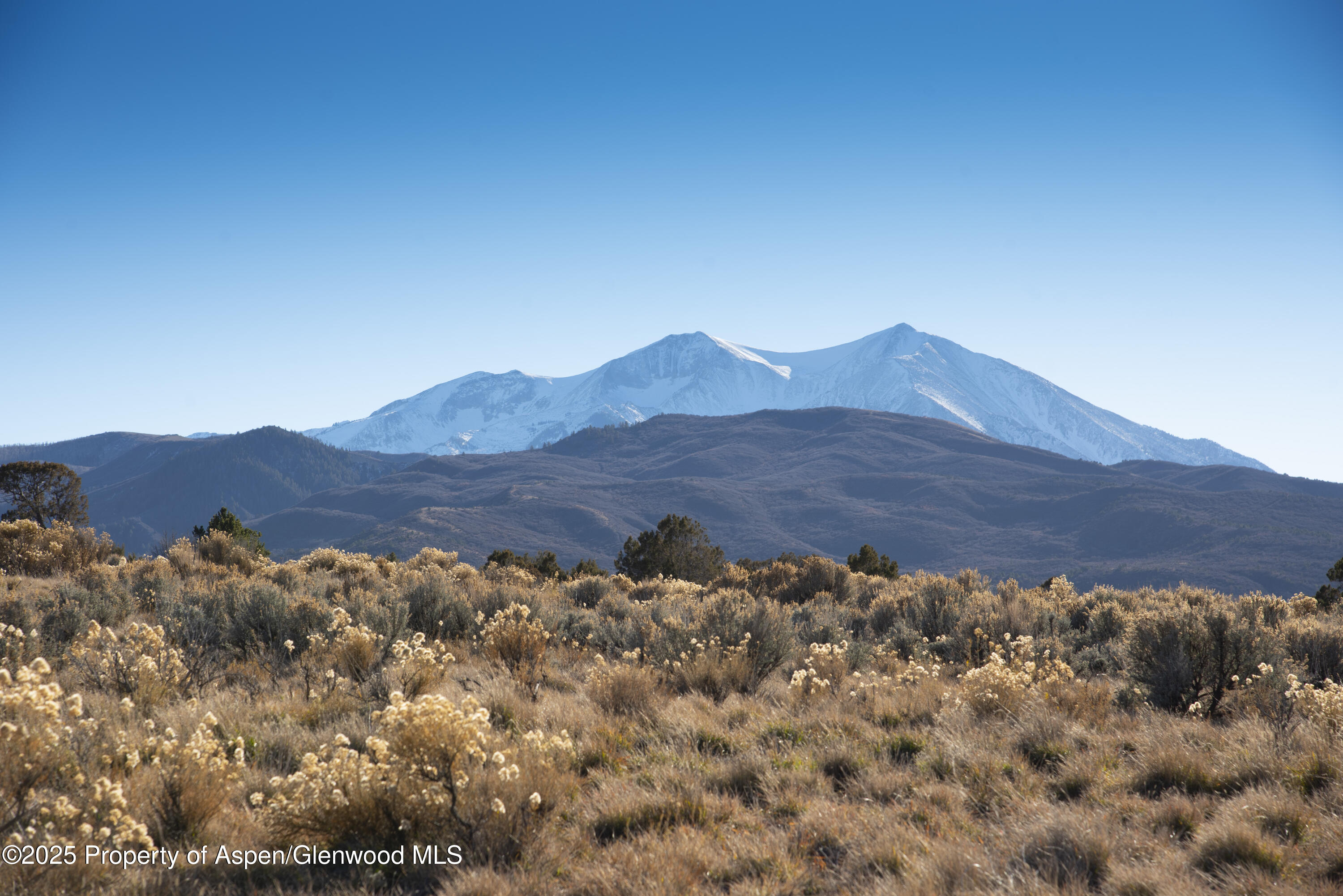 Tbd Whitecloud Road Carbondale CO 81623