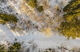 Lot 4 Bear Lane Glenwood Springs CO 81601