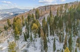 Lot 4 Bear Lane Glenwood Springs CO 81601