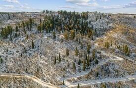 Lot 4 Bear Lane Glenwood Springs CO 81601