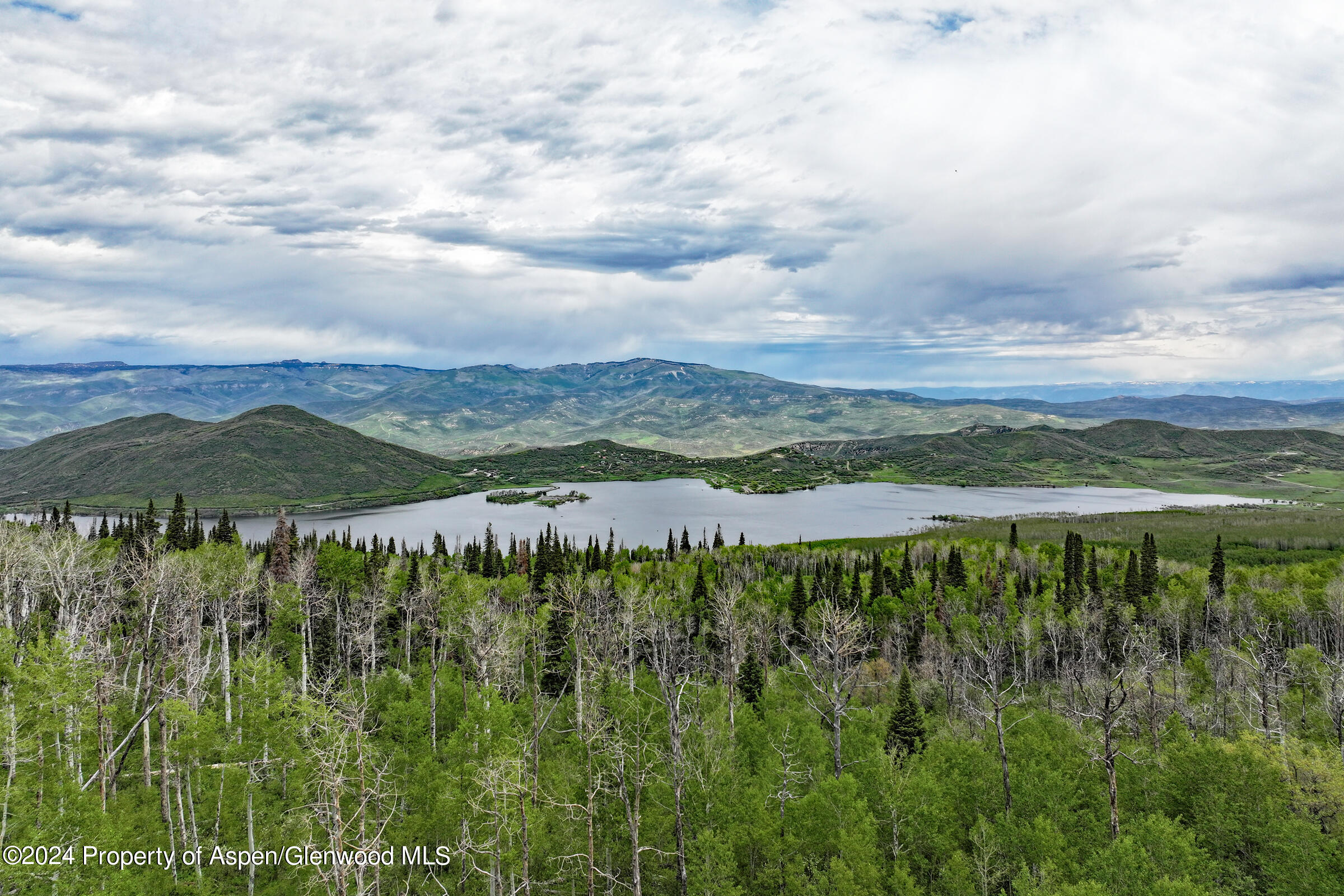 1390 Overlook Drive Collbran CO 81624