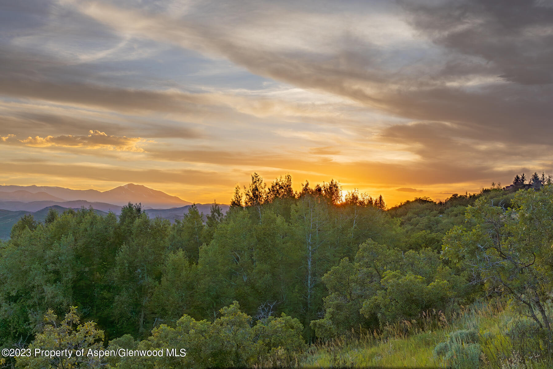 754 Eppley Drive Aspen CO 81611